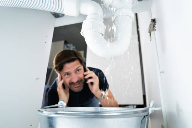 Best Leak Detection Services  in Roseville, CA